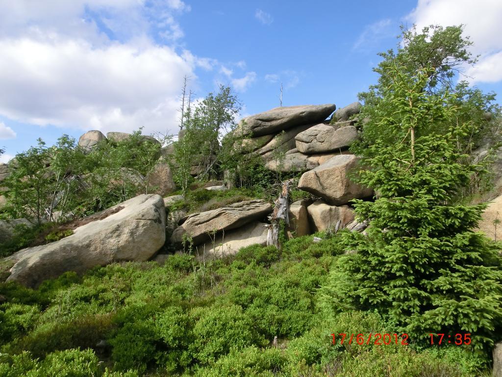 Pension Schmidt Schierke Buitenkant foto